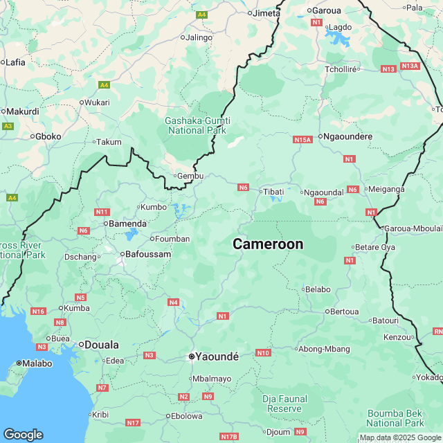 Cameroon Political Map