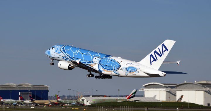 ‘Drunk’ traveller bites flight attendant, forcing U.S.-bound plane bac…