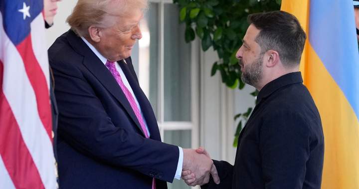 Trump suggests Ukraine may have to trade land for peace with Russia – …