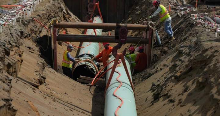 Trans Mountain poised for expansions as pipeline fills up  | Globalnew…