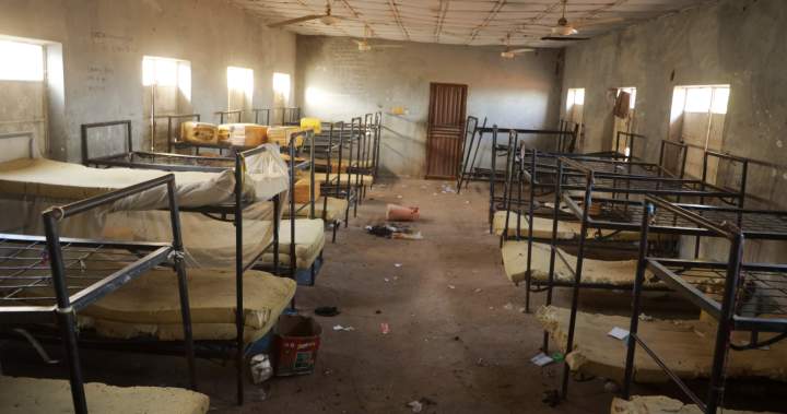 Armed assailants abduct more schoolchildren in Nigeria – National | Gl…