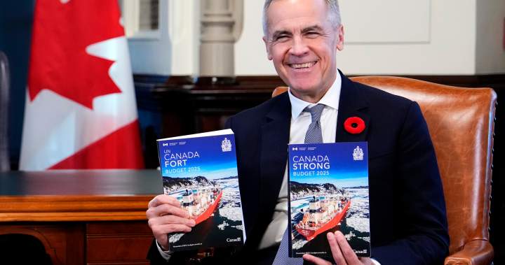 Budget 2025 by the numbers: Key figures in Liberals’ spending plan – N…
