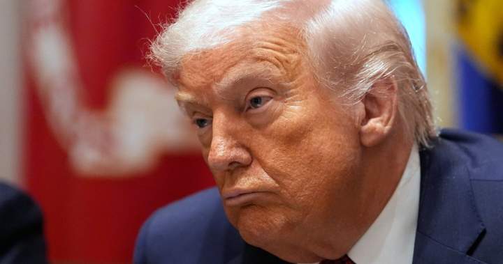 ‘NATO calls me daddy,’ Trump says while touting influence over allianc…